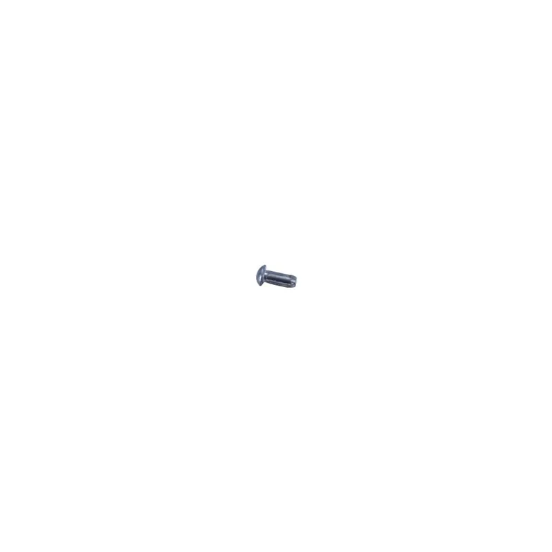 Befestigungsbolzen Kerbnagel 2x5 mm Typenschild Typschild Rahmentypenschild für Zündapp Mofa Moped Mokick Aktuell