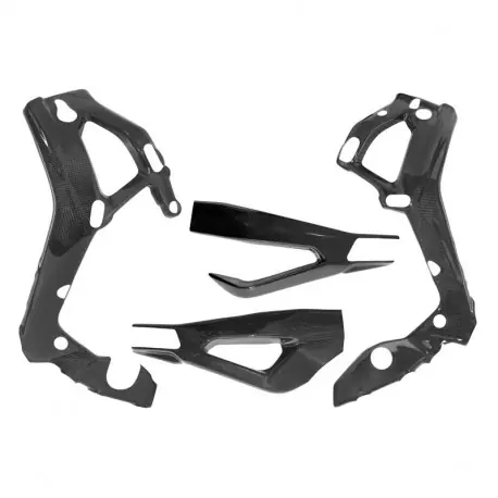 Carbon Rahmen- und Schwingenschoner S1000RR 2019- | M1000RR 2021- | M1000R 2023- Top-Preis