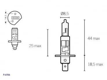 Lampe 12V H1 P14,5S Halogen 55 Watt Direktkauf