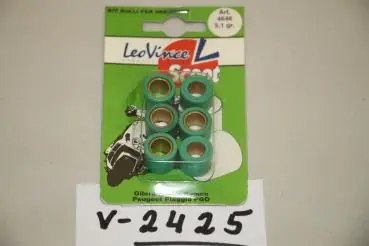 Heißes Angebot LeoVince Kit 4646, 6 Variomatikrollen grün 16x13 5,10 Gramm