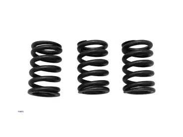 Ventilfedernkit für Vespa Primavera/Sprint/ 50 E5 3V (3 Stk.) verstärkt Abverkauf
